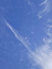 Vehicle Parts Image #1